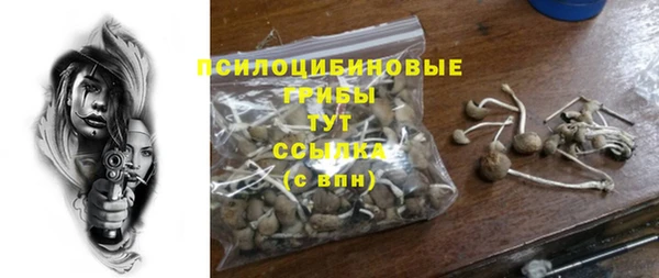 соль ск Алзамай