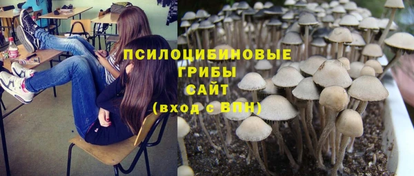 соль курить ск Алексин