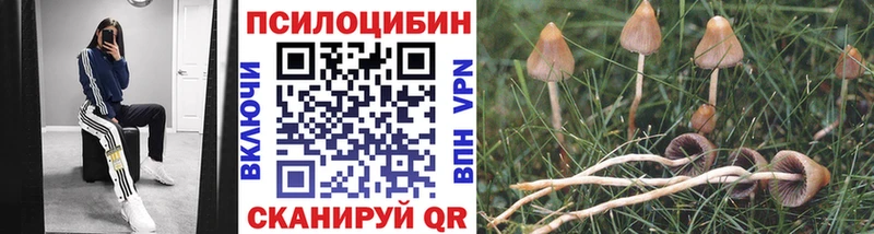 Галлюциногенные грибы Cubensis  Новопавловск 